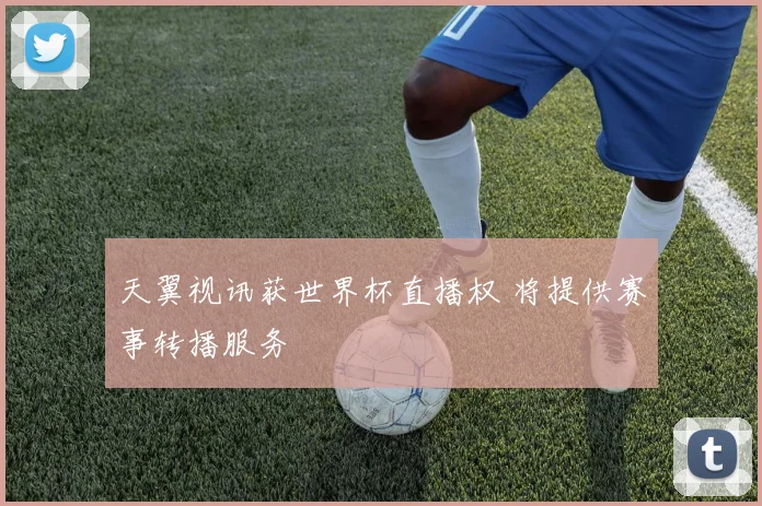 天翼视讯获世界杯直播权 将提供赛事转播服务