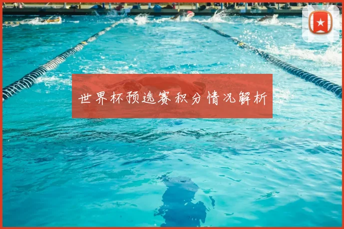 世界杯预选赛积分情况解析