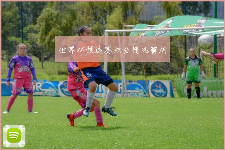 世界杯预选赛积分情况解析