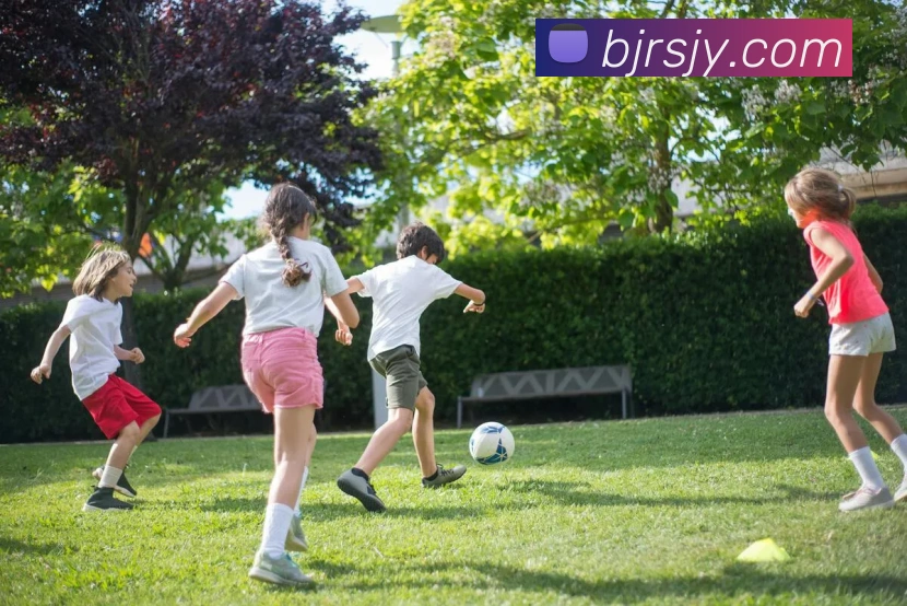 App Interface Preview