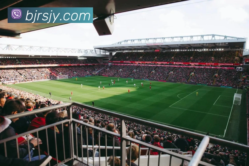 b体育官方网页APP 封面图